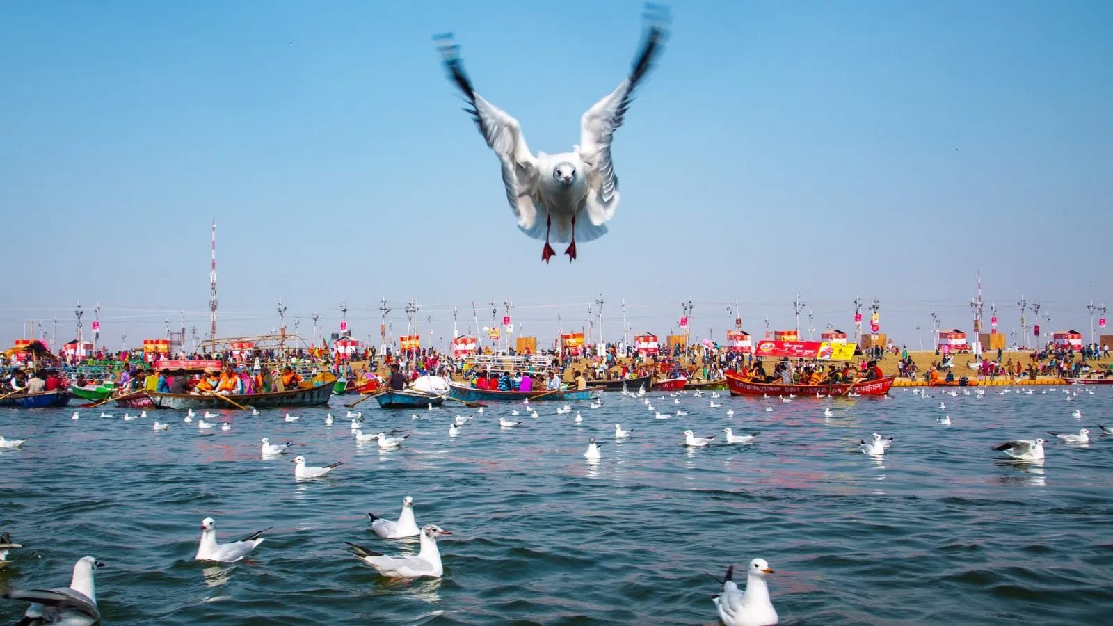 Triveni Sangam Prayagraj